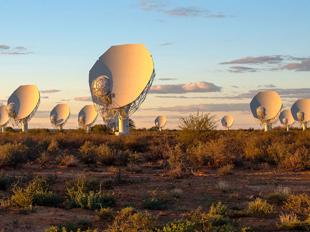meerkat-radio-telescope