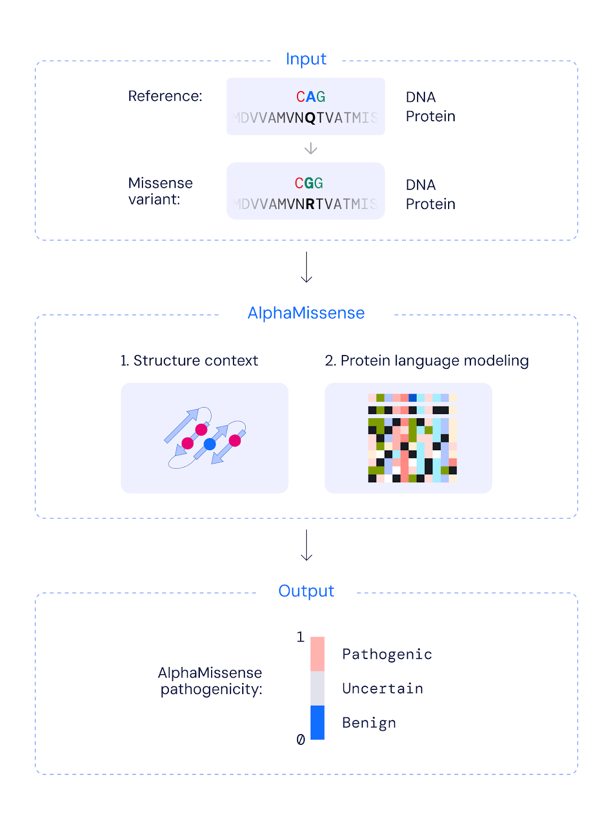 alphamissense-classification