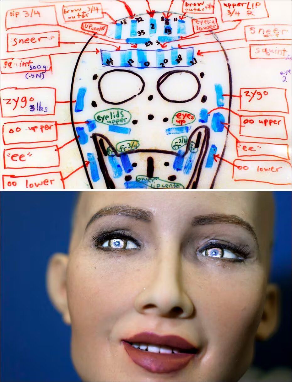 Meet Sophia, the Artificial Intelligence (AI) Robot by Hanson Robotics
