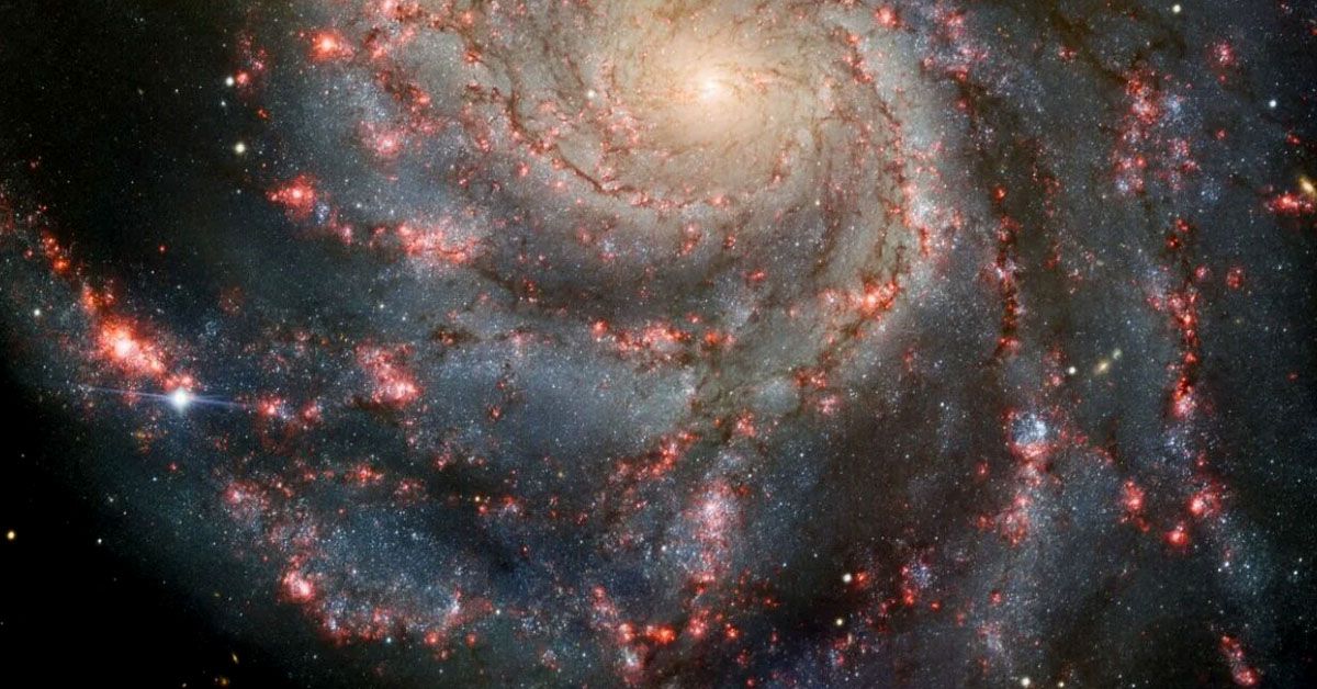 supernova-pinwheel-galaxy-sn-2023ixf